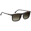 Carrera Brown Injected Sunglasses Carrera