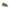 Tommy Hilfiger Green Polyester Sneaker Tommy Hilfiger