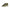 Tommy Hilfiger Green Polyester Sneaker Tommy Hilfiger
