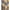 Burberry Archivio Check Cashmere Cape Burberry