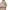 Fendi Wool And Cashmere Poncho Fendi