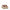 Lanvin Curb Sneakers Lanvin