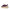 Sergio Rossi Leather Espadrilles Sergio Rossi