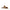 Sergio Rossi Leather Flat Sandals Sergio Rossi