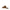 Sergio Rossi Leather Flat Sandals Sergio Rossi
