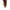 Sergio Rossi Leopard-Print Leather Boots Sergio Rossi