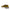 Marni Printed Slip On Sneakers Marni
