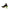 Bottega Veneta Flex Sandals Bottega Veneta