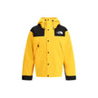 The North Face Dryvent Mountain Waterproof Jacket The North Face
