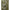 Gucci Green Viscose Skirt Gucci
