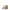 Miu Miu Gold Plastic Platforms Miu Miu