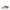 Stella McCartney Brown Fabric Chunky Sneakers Stella McCartney