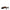 Off-White Black Linen Flat Sandals Off-White