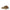 Isabel Marant Green Leather Flat Sandals Isabel Marant