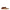 Isabel Marant Brown Leather Slippers Sandals Isabel Marant