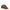 Burberry Green Cotton Caps (Baseball Hat) Burberry