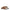 Valentino Garavani Brown Leather Slippers Sandals Valentino Garavani
