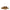 Jimmy Choo Brown Fabric Slippers Sandals Jimmy Choo