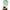 Gucci Wool And Cashmere Cardigan Gucci