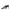 Manolo Blahnik Black Satin Stiletto Heels Sandals Manolo Blahnik