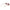 Gant Pink Women Sunglass Gant