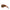 Bottega Veneta Brown Acetate Sunglass Bottega Veneta