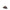 Gucci Web Sandals with Interlocking GG Gucci
