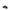 Brunello Cucinelli Leather Lace-ups Brunello Cucinelli