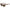 Moschino Brown Acetate Sunglasses Moschino