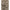 Valentino Leopard-print long Vest Valentino