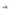 PINKO Zoe 01 Leopard Sneakers PINKO