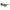Scotch & Soda Brown Men Sunglass Scotch & Soda