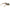Scotch & Soda Brown Men Sunglass Scotch & Soda