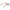 Ermenegildo Zegna Brown Unisex Glasses Frame Ermenegildo Zegna