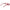 Max Mara Red Women Glasses Frame Max Mara