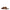 Valentino Garavani Brown Leather Slippers Sandals Valentino Garavani