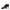 Jimmy Choo Brown Leather High Heel Pumps Jimmy Choo