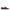 Valentino Garavani Brown Leather Slip-On Loafers Valentino Garavani