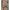 Etro Silk crepon Shirt Etro