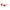 Scotch & Soda Pink Women Sunglass Scotch & Soda