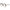 Scotch & Soda Brown Women Glasses Frame Scotch & Soda