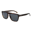 Hugo Boss Brown Men Sunglass Hugo Boss