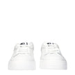 Dolce & Gabbana White Leather Low Tops Dolce & Gabbana