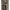 Golden Goose Double-breasted Coat Golden Goose