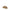 UGG Tasman II Mules UGG