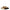 Isabel Marant Beige Raffia Slippers Sandals Isabel Marant
