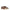 Stella McCartney Brown Leather Flat Sandals Stella McCartney