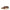 Stella McCartney Brown Leather Flat Sandals Stella McCartney