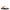 Isabel Marant Beige Leather Flip-Flop Sandals Isabel Marant