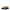 Isabel Marant Beige Leather Flip-Flop Sandals Isabel Marant